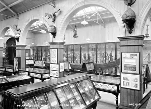 Exhibits: Belfast Public Museum, Grainger Room