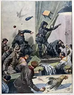 Cockfight: BELGIAN COCKFIGHT