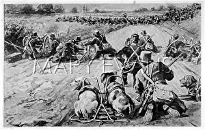 Liable: BELGIAN DOGS IN BATTLE