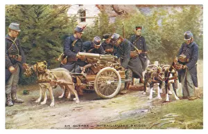 Haul: BELGIAN DOGS HAUL GUNS