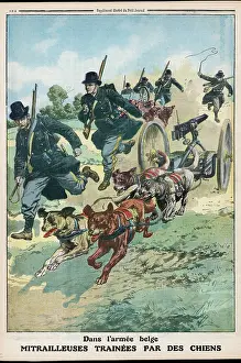Haul: BELGIAN DOGS PULL GUNS