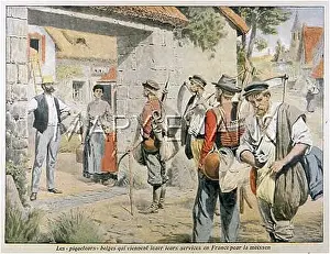 Farmworkers: BELGIAN HARVESTERS