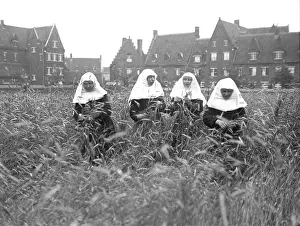 Beguinage: BELGIAN NUNS