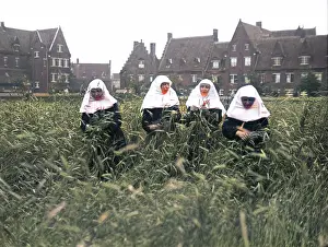 Incolourisedpic: BELGIAN NUNS