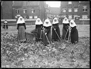 Hoeing: Belgian Nuns Gardening