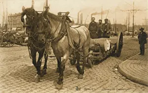 Anvers: Belgium - Antwerp - Working Dock Horses