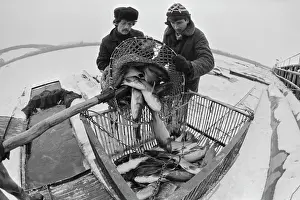 Distribution: Belgorod experimental fish distribution base