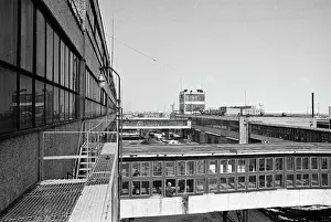 Tons: Belgorod Vitamin Plant