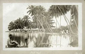 Honduras: Belize, British Honduras - Typical Coastal Scene