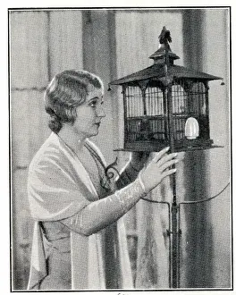 Birdcage: Belle Bennett, American stage and screen actress
