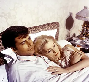 Sorel: BELLE DE JOUR