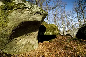 Maur: Belleau Wood