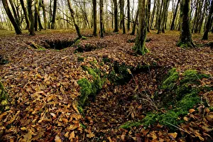 Maur: Belleau Wood