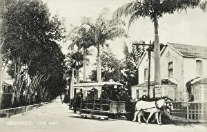 Belleville: Belleville - Pine Road with Horse Tram