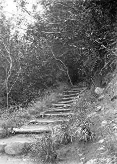 Stepped: Bellevue, Belfast