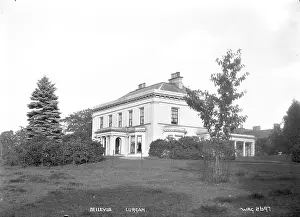 Lurgan: Bellevue, Lurgan
