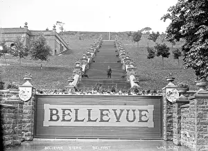 Word: Bellevue Steps, Belfast