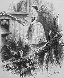 Sleepwalking: BELLINI'S SONNAMBULA