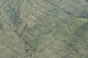 Rectilinear: Bells Moor, Northumberland