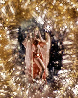 Self Esteem: Belly Dancer in Middle Eastern Costume