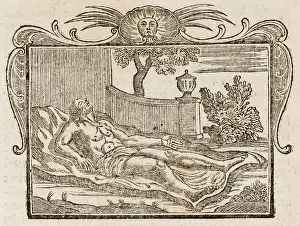 1761: The Belly and the Limbs