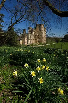 Belsay: Belsay Castle