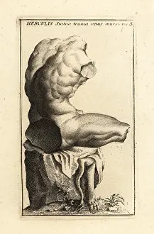 Il Cannetti: The Belvedere Torso, Museo Pio-Clementino, Vatican
