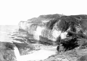 Silex: Bempton, Silex Bay 1908