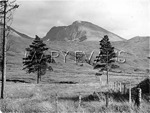 Nevis: BEN NEVIS