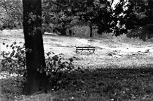 Krish: Empty Bench on a sunny day in a park