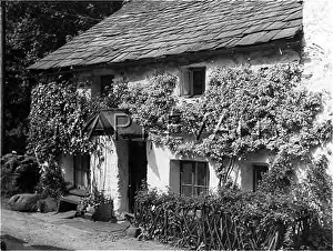 Bump: BEND OR BUMP COTTAGE