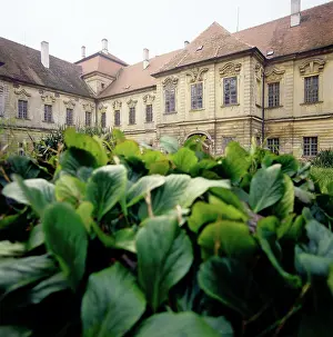 Santini: Benedictine monastery Rajhrad