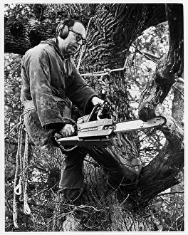 Saws: Benedictine monk working with chainsaw