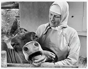 Augustina: Benedictine nun with cow, Minster Abbey