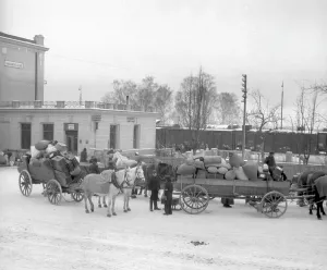 Marienbad: Benes Decrees - transport - Sudeten