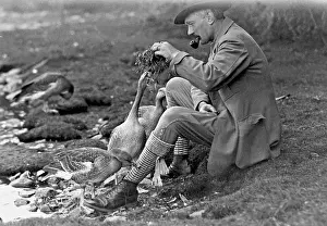 Feeds: Bengt Berg, 1928