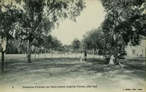 Beni: Beni Mered, Algeria - farm
