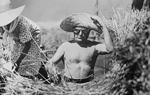 Drained: Benito Mussolini during the harvest, 1935