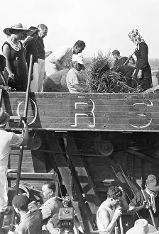 Drained: Benito Mussolini during the harvest, 1936