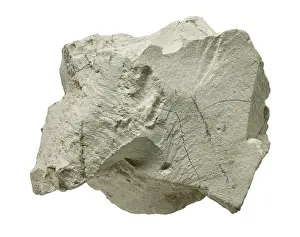 Phyllosilicate: Bentonite