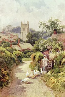 Wander: BERE REGIS, DORSET