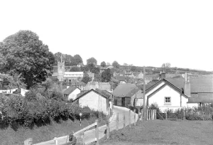 Bere: Bere Regis, view from School Meadow c1950