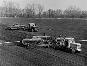 Crops: Berezanskoye Experimental Seed Farm