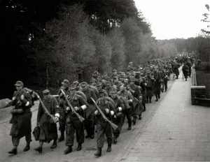 Dysentery: Bergen-Belsen Camp - Withdrawal of German troops