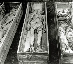 Dysentery: Bergen-Belsen Concentration Camp - Corpses of dead inmates