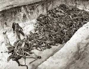 Dysentery: Bergen-Belsen Concentration Camp - A mass grave