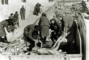 Dysentery: Bergen-Belsen Concentration Camp - A mass grave