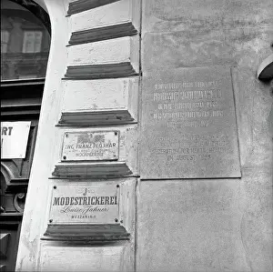 Berggasse: Berggasse 19