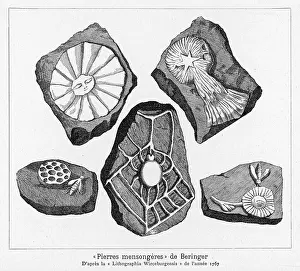 Jokes: BERINGER'S LYING STONES
