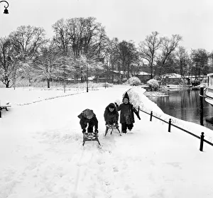 Luge: Berlin - children in the snow
